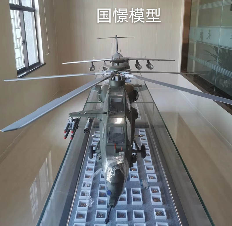 昌乐县飞机模型
